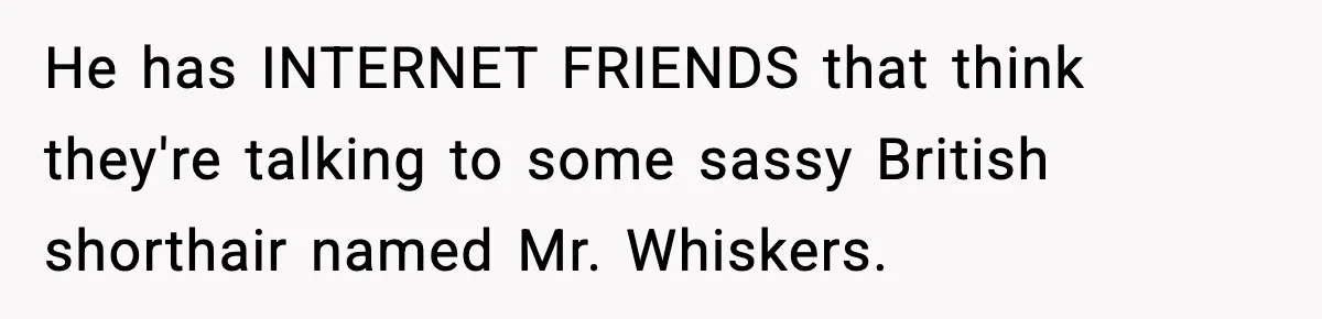 Woman Discovers Her Husband Has Secretly Been A Famous Internet Cat For Three Years He has INTERNET FRIENDS that think they're talking to some sassy British shorthair named Mr. Whiskers.