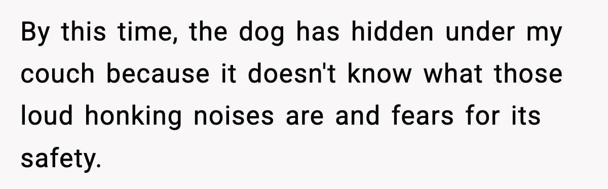 By this time, the dog has hidden under my couch because it doesn't know what those loud honking noises are and fears for its safety.