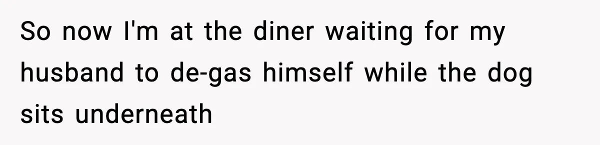 So now I'm at the diner waiting for my husband to de-gas himself while the dog sits underneath