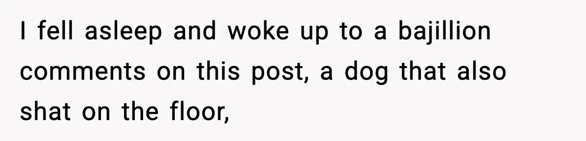 I fell asleep and woke up to a bajillion comments on this post, a dog that also shat on the floor,