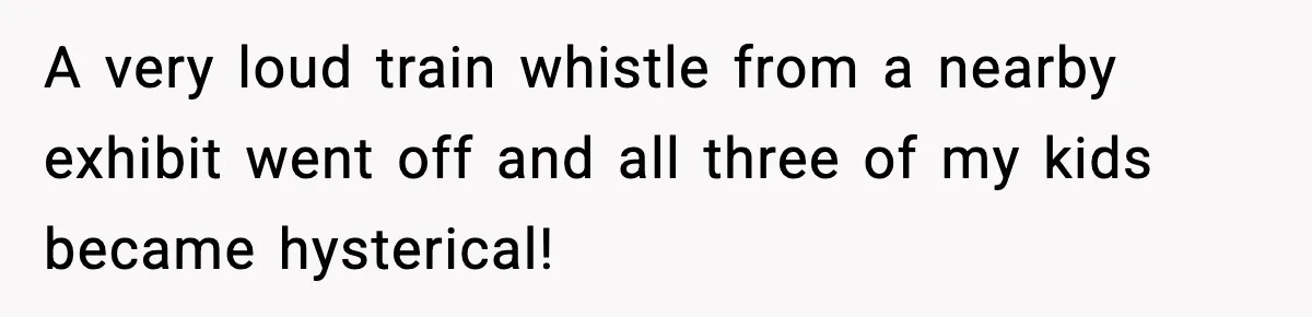 A very loud train whistle from a nearby exhibit went off and all three of my kids became hysterical!