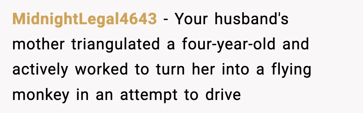 MidnightLegal4643 − Your husband's mother triangulated a four-year-old and actively worked to turn her into a flying monkey in an attempt to drive