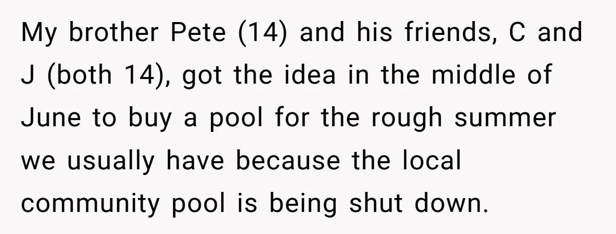 My brother Pete (14) and his friends, C and J (both 14), got the idea in the middle of June to buy a pool for the rough summer we usually...