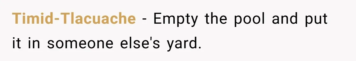 Timid-Tlacuache − Empty the pool and put it in someone else's yard.