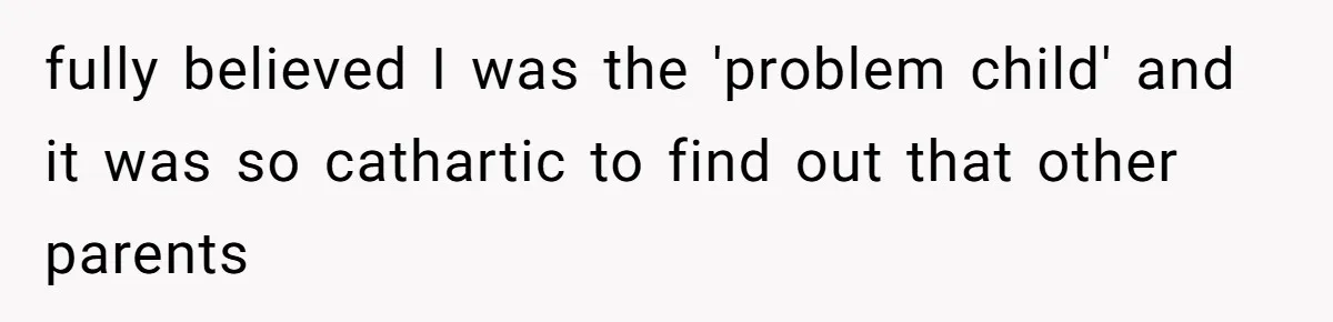 fully believed I was the 'problem child' and it was so cathartic to find out that other parents