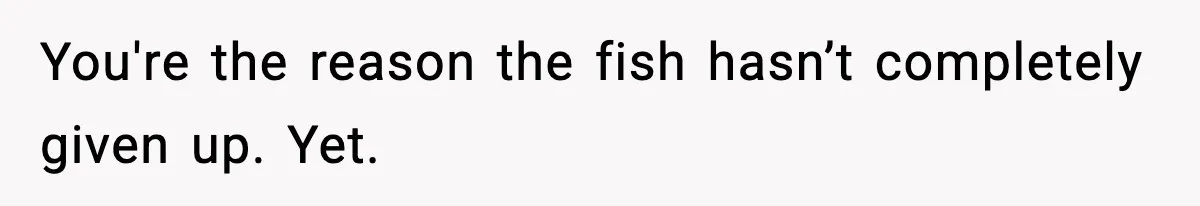 You're the reason the fish hasn’t completely given up. Yet.