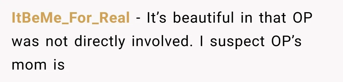 ItBeMe_For_Real − It’s beautiful in that OP was not directly involved. I suspect OP’s mom is
