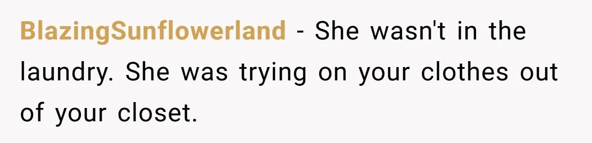 BlazingSunflowerland − She wasn't in the laundry. She was trying on your clothes out of your closet.