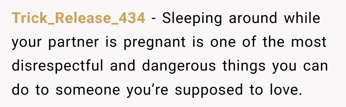 She Called 911 on Her Ex-Boyfriend—Now He’s a Registered S_x Offender. Was She Wrong? Trick_Release_434 − Sleeping around while your partner is pregnant is one of the most disrespectful and dangerous things you can do to someone you’re supposed to love.