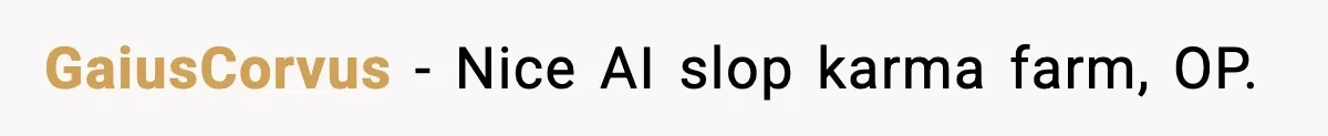 GaiusCorvus − Nice AI slop karma farm, OP.