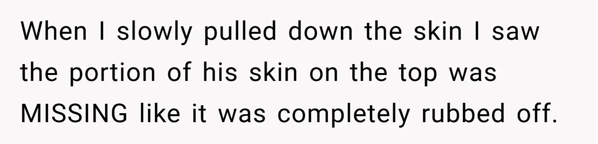 When I slowly pulled down the skin I saw the portion of his skin on the top was MISSING like it was completely rubbed off.