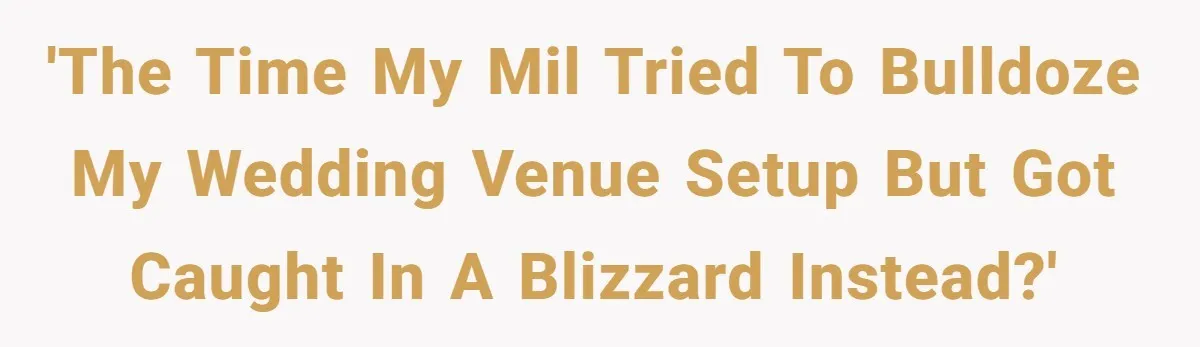 'The time my MIL tried to bulldoze my wedding venue setup but got caught in a blizzard instead?'