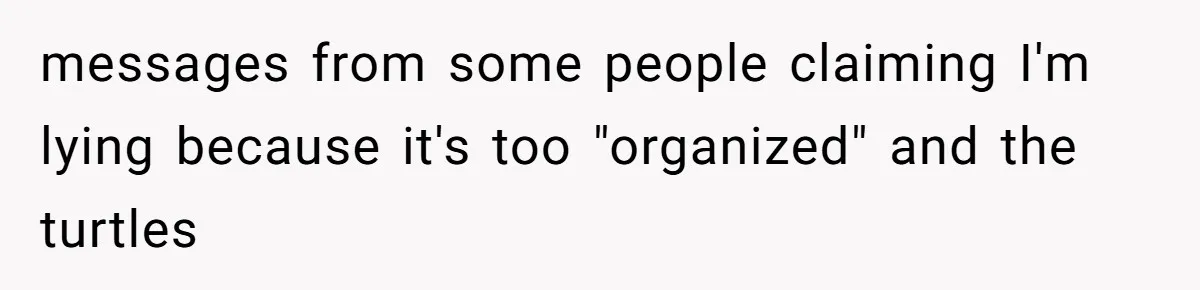 messages from some people claiming I'm lying because it's too "organized" and the turtles
