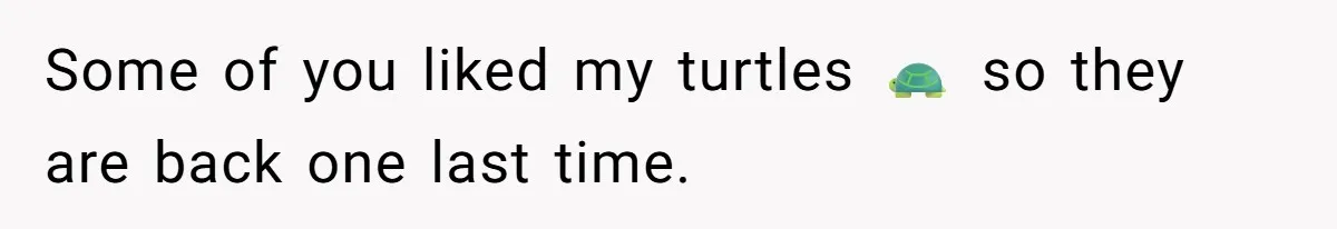 Some of you liked my turtles 🐢 so they are back one last time.