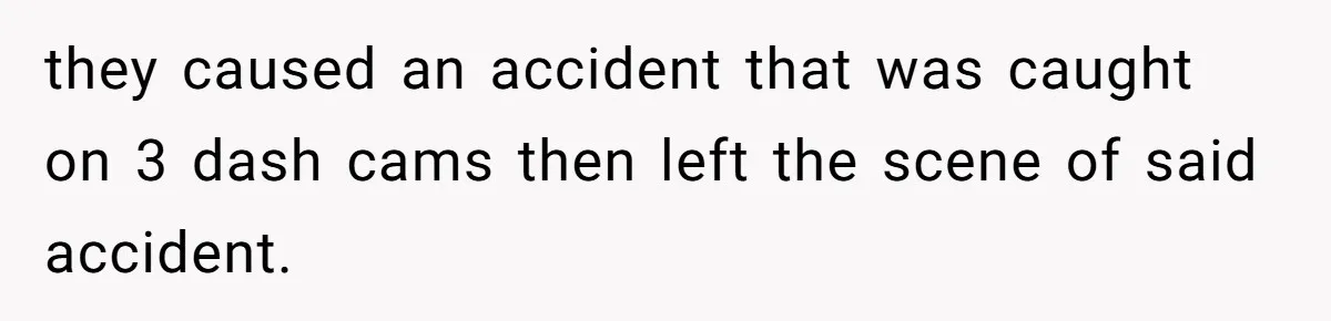 they caused an accident that was caught on 3 dash cams then left the scene of said accident.