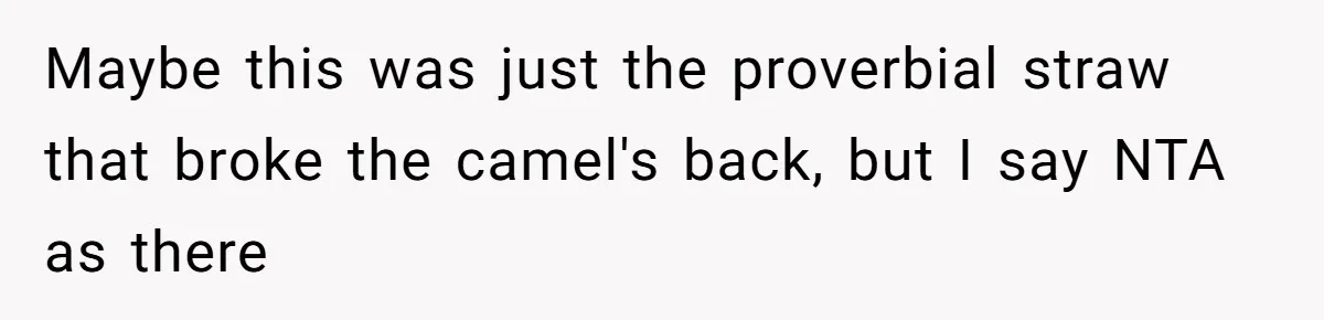Maybe this was just the proverbial straw that broke the camel's back, but I say NTA as there