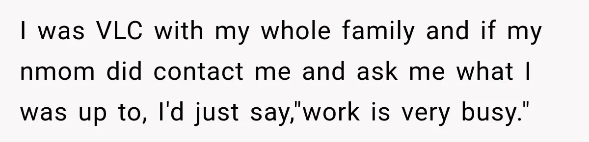 I was VLC with my whole family and if my nmom did contact me and ask me what I was up to, I'd just say,"work is very busy."