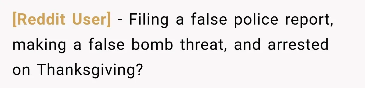 [Reddit User] − Filing a false police report, making a false bomb threat, and arrested on Thanksgiving?