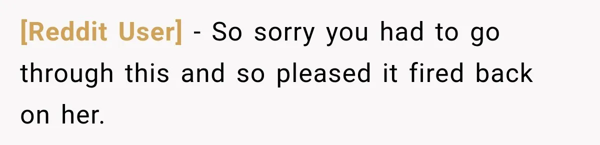 [Reddit User] − So sorry you had to go through this and so pleased it fired back on her.