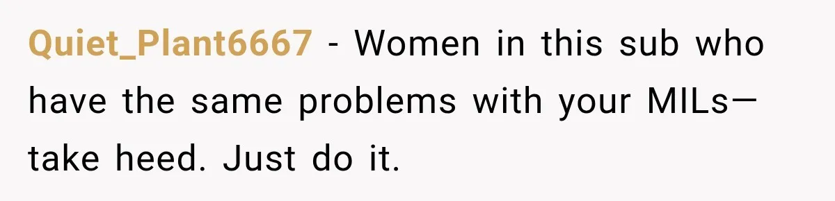 Quiet_Plant6667 − Women in this sub who have the same problems with your MILs—take heed. Just do it.