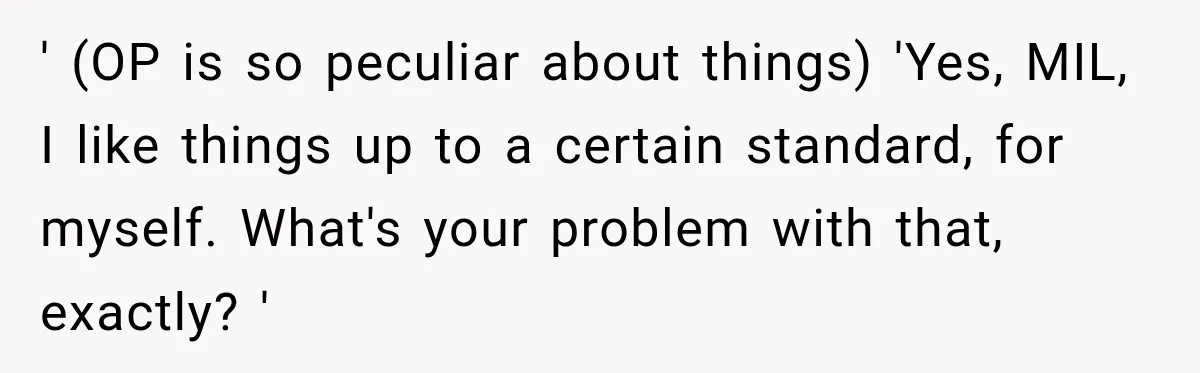 ' (OP is so peculiar about things) 'Yes, MIL, I like things up to a certain standard, for myself. What's your problem with that, exactly? '