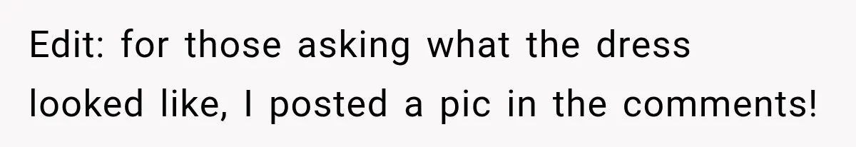 Edit: for those asking what the dress looked like, I posted a pic in the comments!