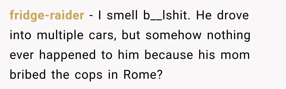 fridge-raider − I smell b__lshit. He drove into multiple cars, but somehow nothing ever happened to him because his mom bribed the cops in Rome?