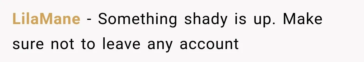 LilaMane − Something shady is up. Make sure not to leave any account