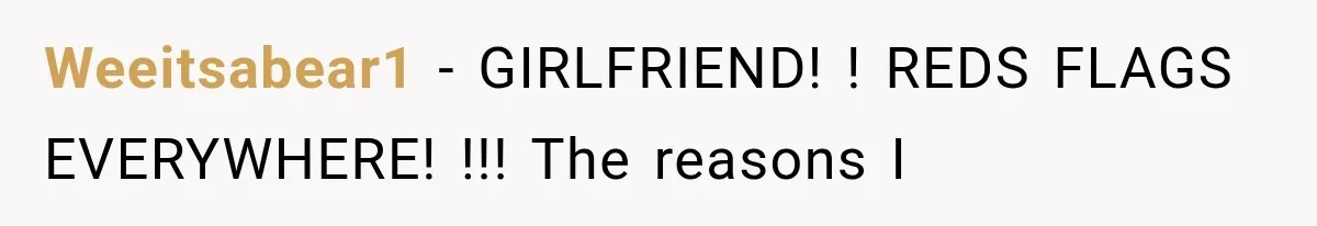 Weeitsabear1 − GIRLFRIEND! ! REDS FLAGS EVERYWHERE! !!! The reasons I