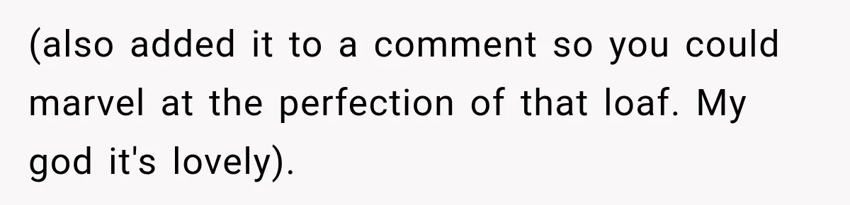 (also added it to a comment so you could marvel at the perfection of that loaf. My god it's lovely).