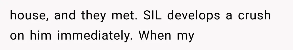house, and they met. SIL develops a crush on him immediately. When my