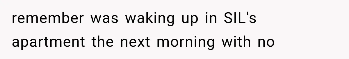 remember was waking up in SIL's apartment the next morning with no