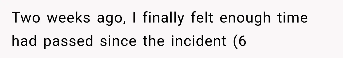 Two weeks ago, I finally felt enough time had passed since the incident (6