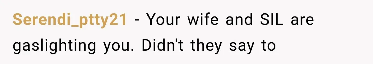 Serendi_ptty21 − Your wife and SIL are gaslighting you. Didn't they say to