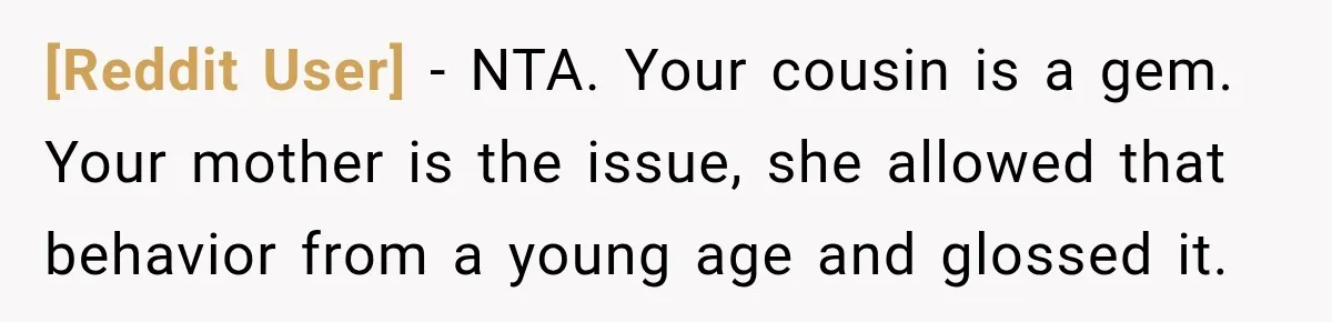 [Reddit User] − NTA. Your cousin is a gem. Your mother is the issue, she allowed that behavior from a young age and glossed it.