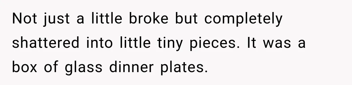 Not just a little broke but completely shattered into little tiny pieces. It was a box of glass dinner plates.