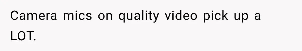 Camera mics on quality video pick up a LOT.