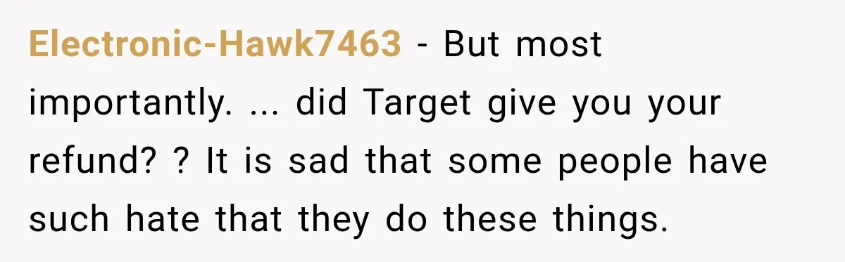 Electronic-Hawk7463 − But most importantly. ... did Target give you your refund? ? It is sad that some people have such hate that they do these things.