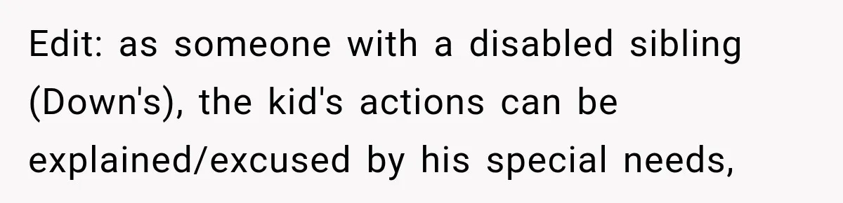Edit: as someone with a disabled sibling (Down's), the kid's actions can be explained/excused by his special needs,