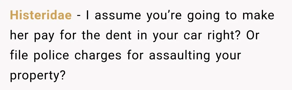 Histeridae − I assume you’re going to make her pay for the dent in your car right? Or file police charges for assaulting your property?