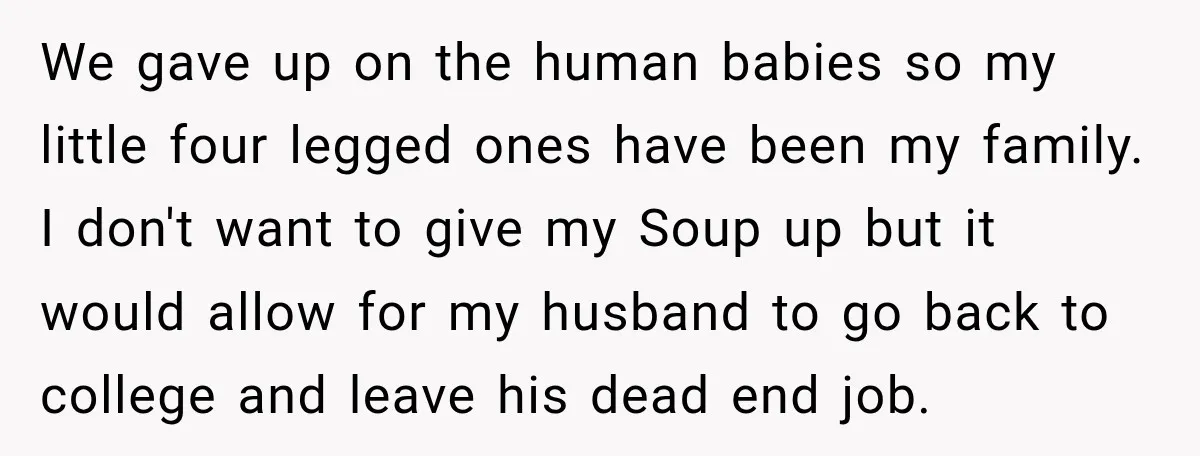 She Was Ready to Give Up Her Cat for Financial Security, Until Her Family Made Her Rethink Everything We gave up on the human babies so my little four legged ones have been my family. I don't want to give my Soup up but it would allow for...