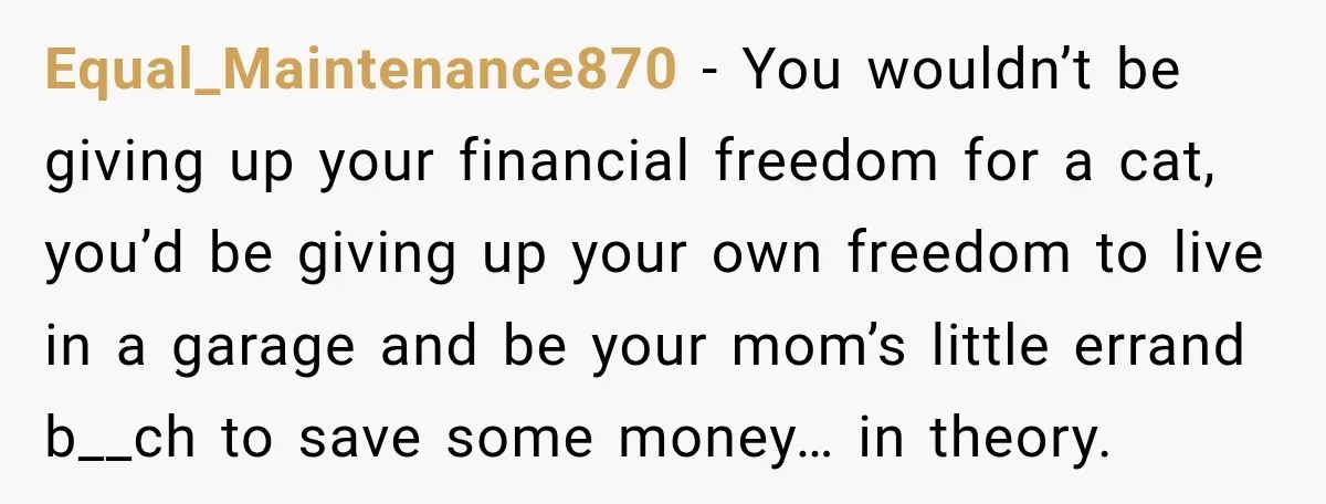 She Was Ready to Give Up Her Cat for Financial Security, Until Her Family Made Her Rethink Everything Equal_Maintenance870 − You wouldn’t be giving up your financial freedom for a cat, you’d be giving up your own freedom to live in a garage and be your mom’s little...
