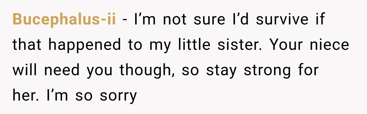 Bucephalus-ii − I’m not sure I’d survive if that happened to my little sister. Your niece will need you though, so stay strong for her. I’m so sorry