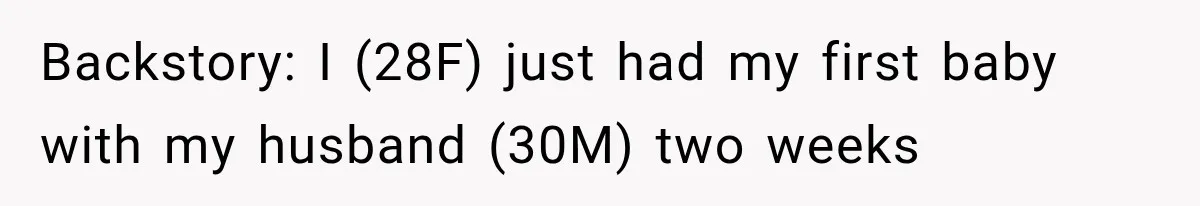 Backstory: I (28F) just had my first baby with my husband (30M) two weeks