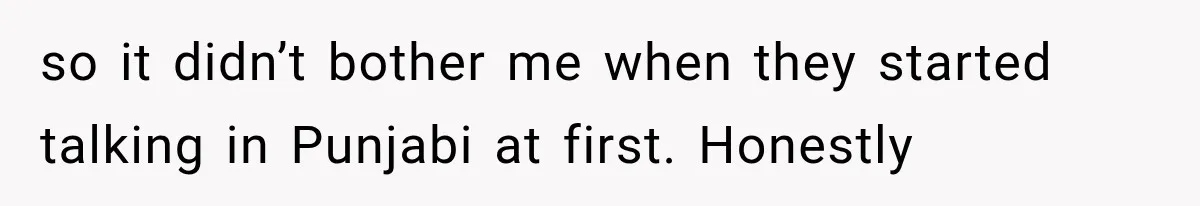 so it didn’t bother me when they started talking in Punjabi at first. Honestly