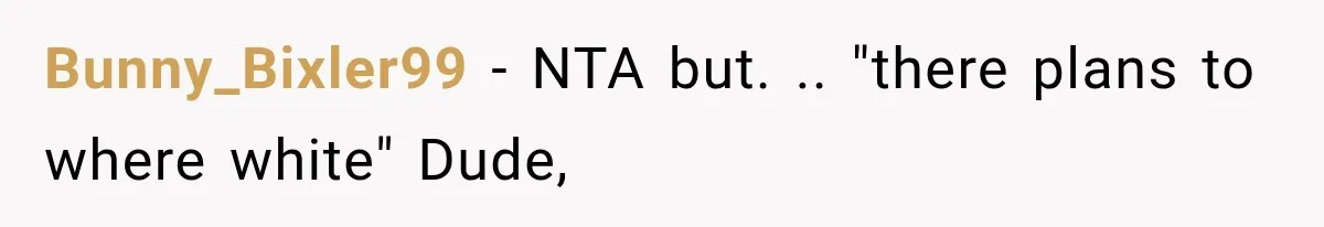 Bunny_Bixler99 − NTA but. .. "there plans to where white" Dude,