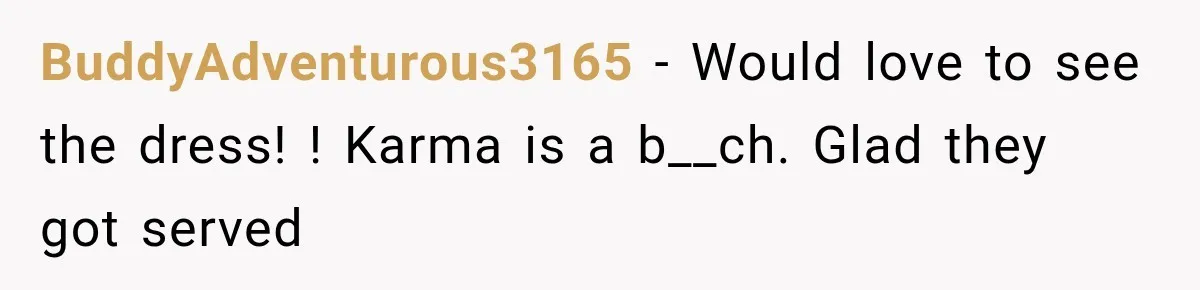 BuddyAdventurous3165 − Would love to see the dress! ! Karma is a b__ch. Glad they got served