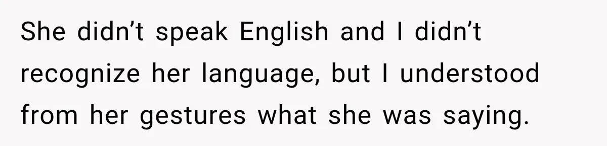 She didn’t speak English and I didn’t recognize her language, but I understood from her gestures what she was saying.