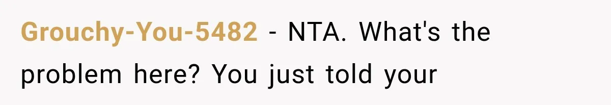 Grouchy-You-5482 − NTA. What's the problem here? You just told your