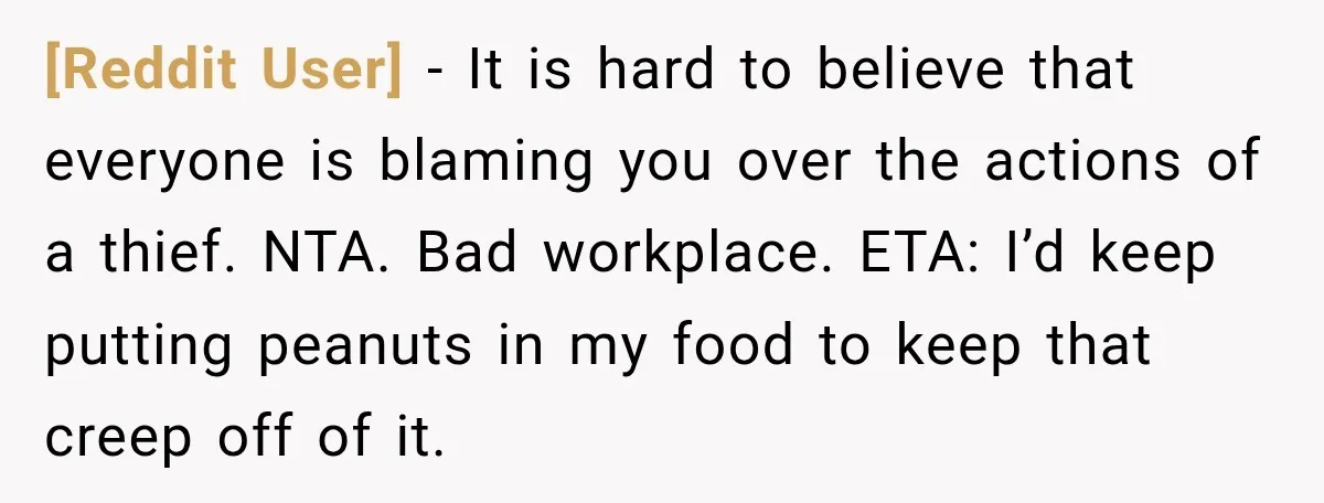 [Reddit User] − It is hard to believe that everyone is blaming you over the actions of a thief. NTA. Bad workplace. ETA: I’d keep putting peanuts in my food...